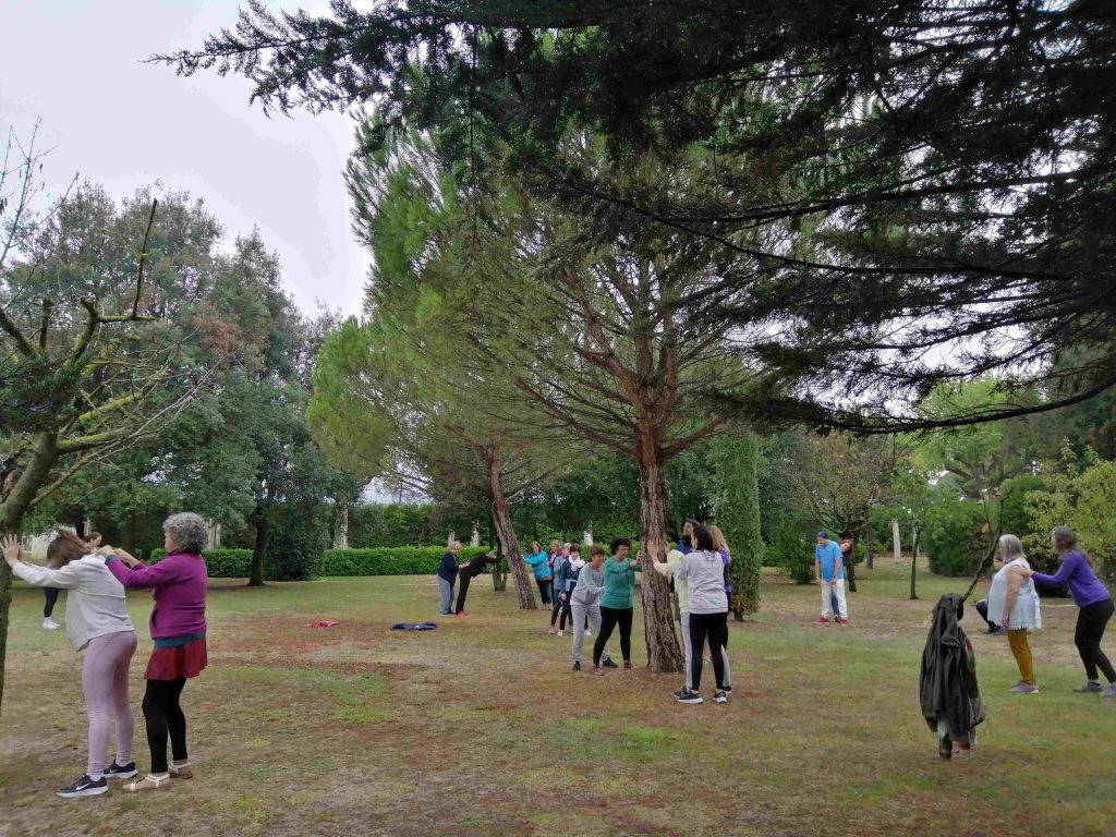 Práctica de movimiento al aire libre durante el Retiro de Silencio