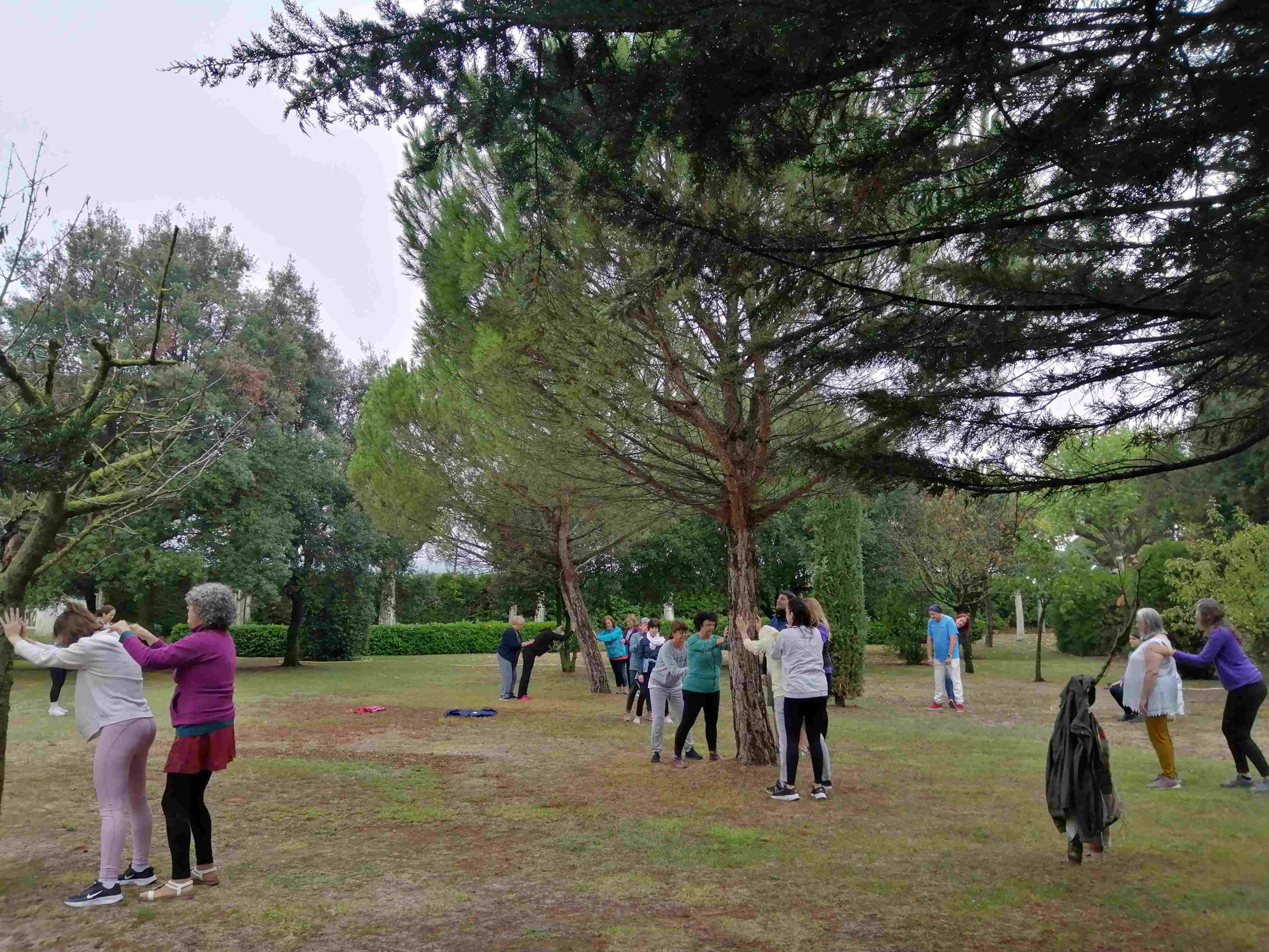 Participantes practicando al aire libre durante el Retiro de Silencio