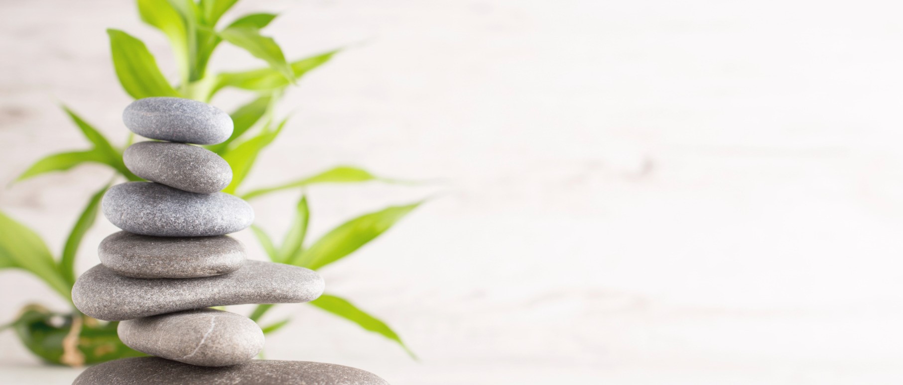 meditación