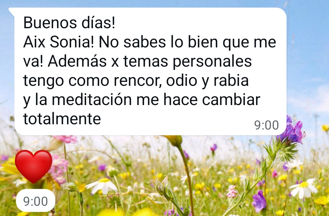 Testimonio real sobre el cambio emocional a través de la meditación